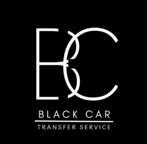 Partenri black car webp